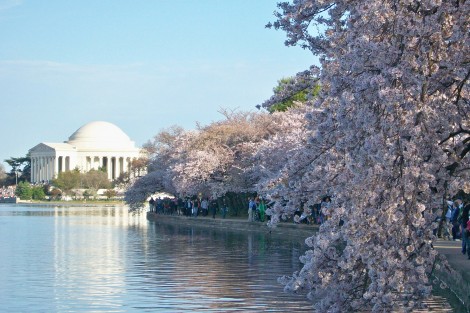 Vacations Magazine: April: Back to Nature